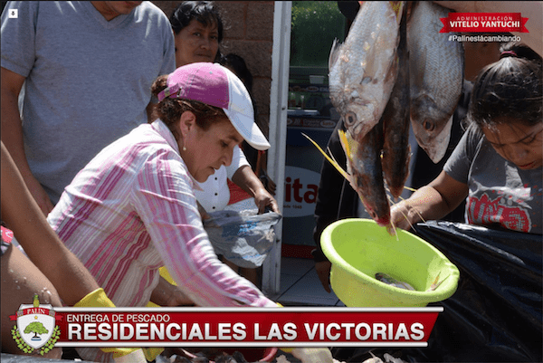 pescado-palin-01