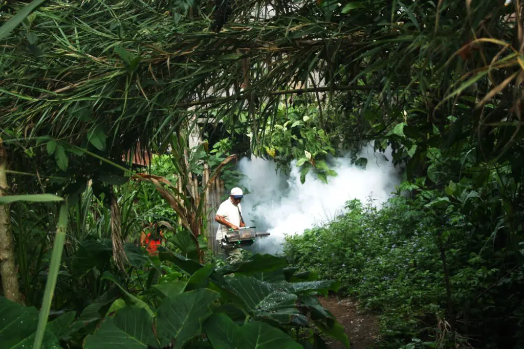 La fumigación está a cargo de la municipalidad y el centro de salud. Foto: José Bernardino Francisco.