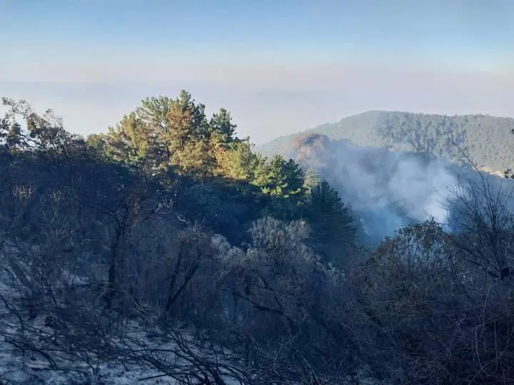 El fuego ha consumido alrededor de 25 mil hectáreas de bosque. Una de las dificultades para combatir el fuego es la topografía que no permite el acceso de pipas de agua. 