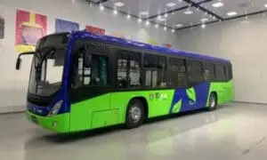 El servicio de transporte cuenta con 69 unidades en funcionamiento que recorren cuatro rutas. Una de estas es la línea 5 con cambios y retrasos desde su anuncio. 
