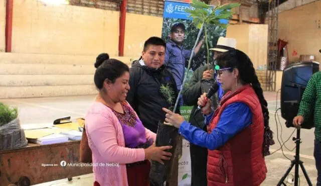 Para combatir la desnutrición y la deforestación, dijo la municipalidad. El proveedor fundó su empresa en pandemia, ha sido beneficiado con contratos por un total de Q33 millones.