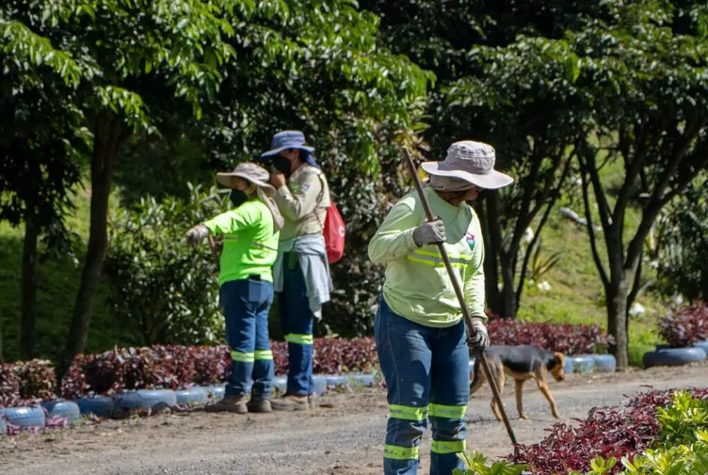La municipalidad clausuró la primera área del sitio de disposición final, esperan hacer lo mismo con todo el terreno en los próximos 15 años.