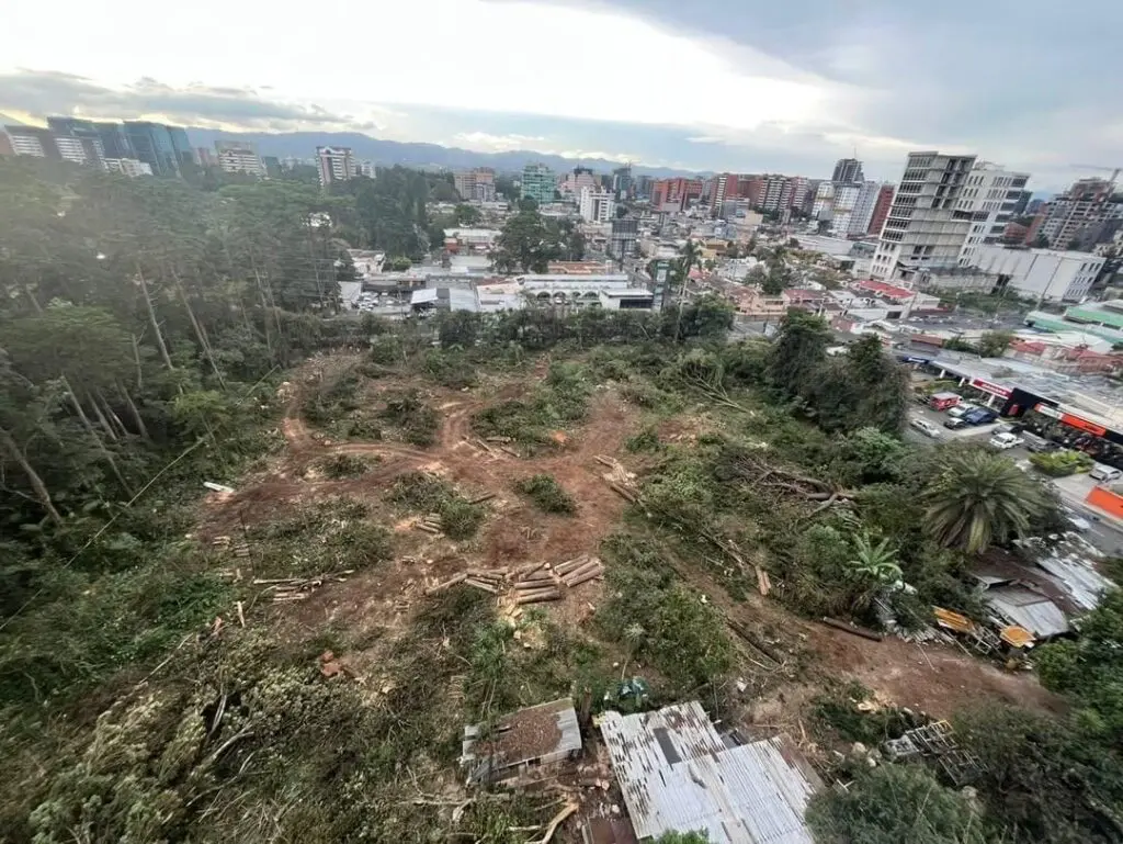Así lucía el área del bosque del acueducto de la zona 10 la mañana del 30 de diciembre de 2024.