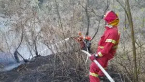 El incendio forestal, que acabó con más de 900 hectáreas a principios de 2024, dejó devastadoras pérdidas en el volcán.