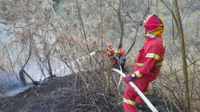 El incendio forestal, que acabó con más de 900 hectáreas a principios de 2024, dejó devastadoras pérdidas en el volcán.