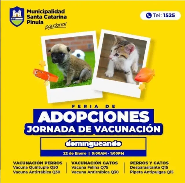 La ley incluye a las comunas como mediadoras y autoridades que pueden decomisar animales maltratados. La tarea se puede ver frustrada por falta de recursos económicos.