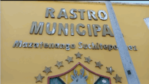 La Sesan y expertos consultados indican los peligros para el ambiente y la salud, de no contar con rastro municipal autorizado. Solo uno lo está, y 15 privados a nivel nacional.