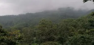 En Guatemala, la Asociación de Reservas Naturales Privadas de Guatemala impulsa la conservación voluntaria desde hace más de 25 años.