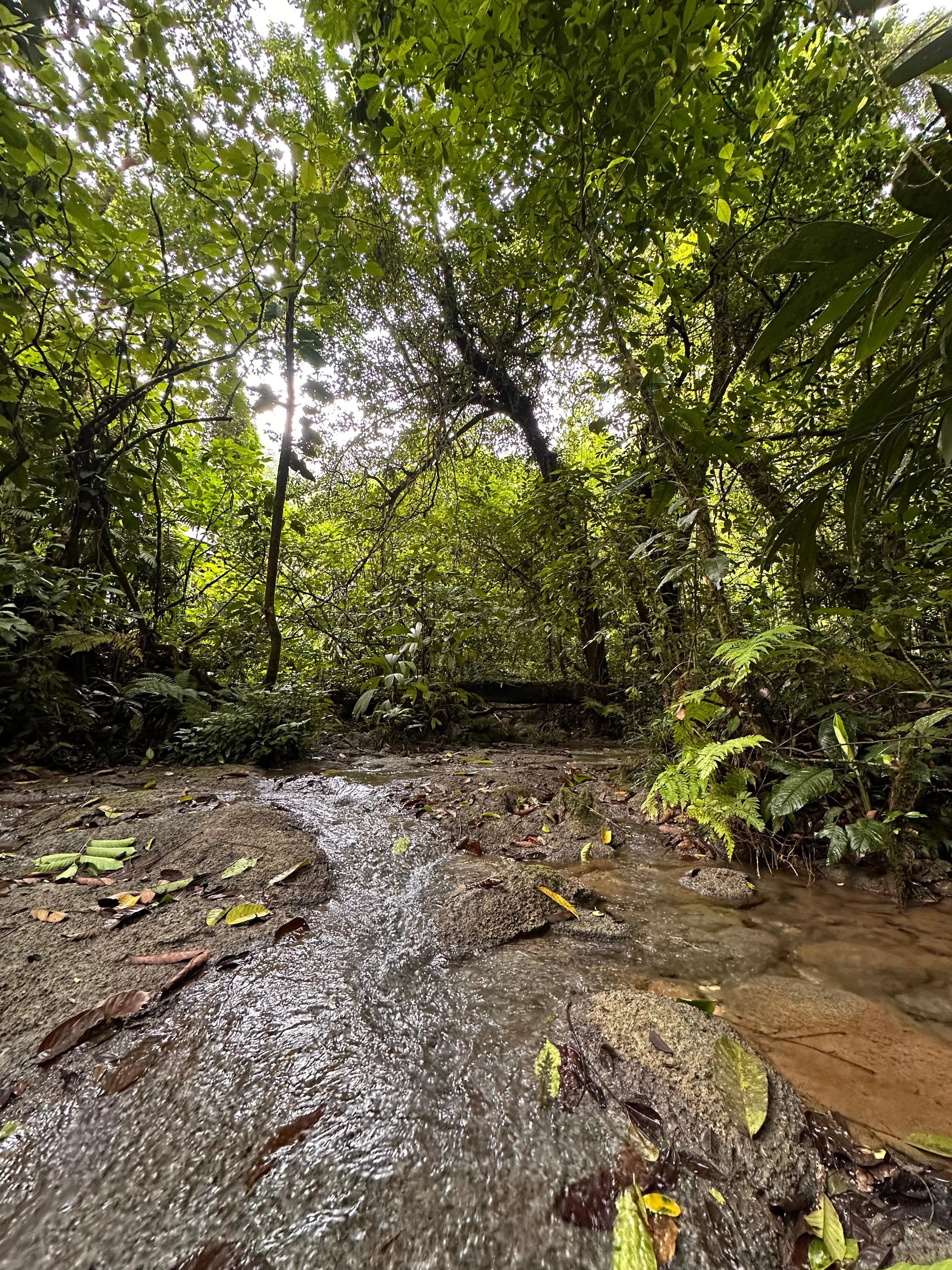 Sacmoc significa "nacimiento de agua blanca". Foto: Emanuel Chocooj.