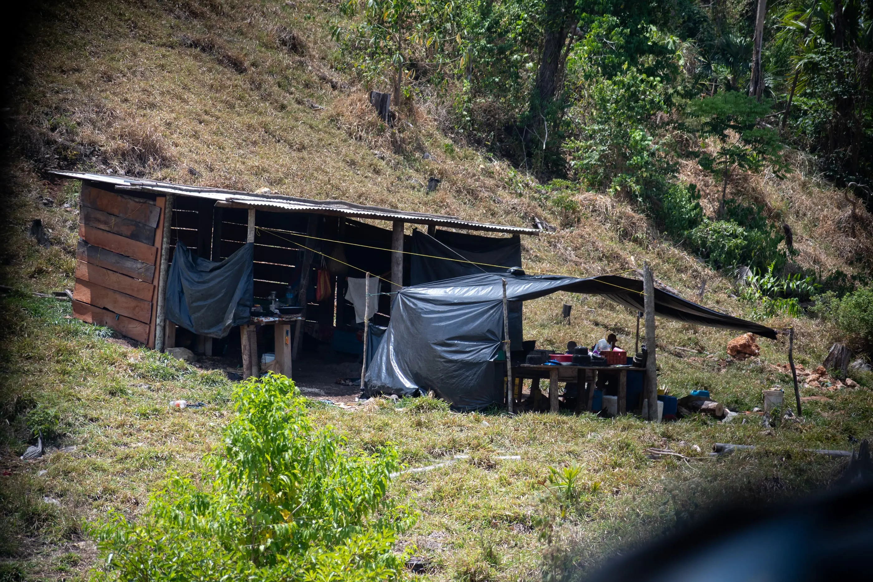 En el parque nacional Sierra del Lacandón se observan casas de presuntos cuidadores de ganado. 
