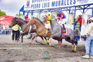 La Gomera, Escuintla, por ejemplo, remodeló su hipódromo con compras menores a Q25 mil con el mismo fin y proveedor. Le dedica más recursos que a salud y educación.