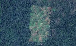 Las fotografías muestran asentamientos humanos dentro del Parque Nacional Laguna de Lachuá. También incendios forestales los cuales se temen sean provocados.
