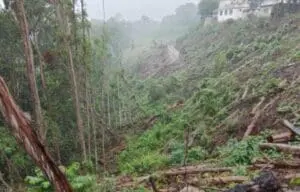 Una servidumbre de paso en un área verde preocupó a vecinos de Villa Linda, zona 7, hace un año. TuMuni incumplió el compromiso de no cambiar el uso de suelo, según estudio ambiental.