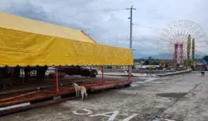 Por unanimidad el concejo municipal de Quetzaltenango aprobó 15 comisiones para celebrar la feria de independencia en septiembre. Esta edición costará Q5 millones. 