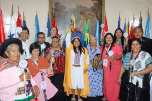Pese a denuncias y opiniones del trabajo de la Copresam, la actual comisionada asegura que cumple con su mandato y que busca renovar su continuidad.  