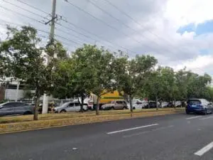 La municipalidad de Guatemala afirma que 200 mil vehículos se suman al parque vehicular 2026 en cada día hábil, más 450 mil motociletas. Su apuesta es aumentar las motovías.
