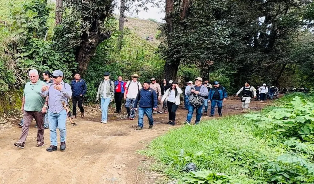 El Astillero Municipal de Sumpango es un bosque en peligro debido a la deforestación. El daño alcanza a cuatro nacimientos de agua.