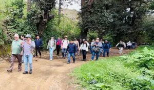 El Astillero Municipal de Sumpango es un bosque en peligro debido a la deforestación. El daño alcanza a cuatro nacimientos de agua.