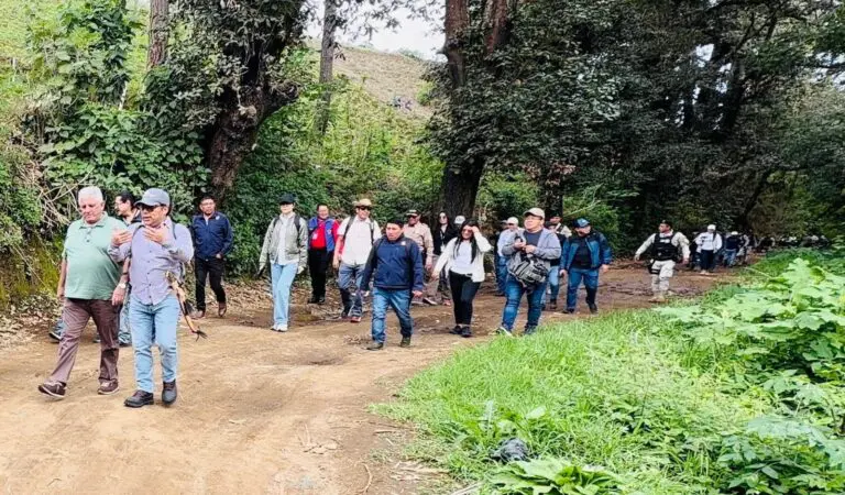 El Astillero Municipal de Sumpango es un bosque en peligro debido a la deforestación. El daño alcanza a cuatro nacimientos de agua.