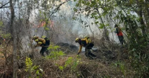 La extensión afectada por los incendios forestales equivale a 27,120 canchas de fútbol o a las zonas 1 y 2 juntas de la ciudad de Guatemala.