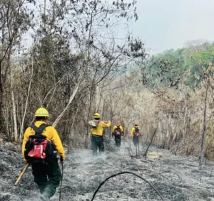 Cinco municipalidades en el sur del departamento de mayor extensión territorial, se unieron para apagar los fuegos en esta emergencia.