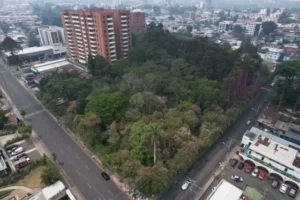 En la zona 10 capitalina hay un bosque cercano al acueducto, pero está a una licencia de construcción de dejar de existir.