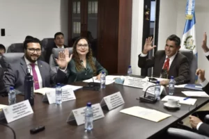 La Comisión de Asuntos Municipales discutió y dictaminó sobre agua, cableado aéreo y un impuesto especial para San Marcos. Todo en una sesión.