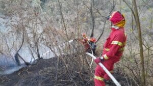 El incendio forestal, que acabó con más de 900 hectáreas a principios de 2024, dejó devastadoras pérdidas en el volcán.