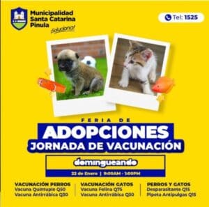 La ley incluye a las comunas como mediadoras y autoridades que pueden decomisar animales maltratados. La tarea se puede ver frustrada por falta de recursos económicos.