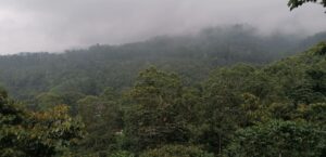 En Guatemala, la Asociación de Reservas Naturales Privadas de Guatemala impulsa la conservación voluntaria desde hace más de 25 años.