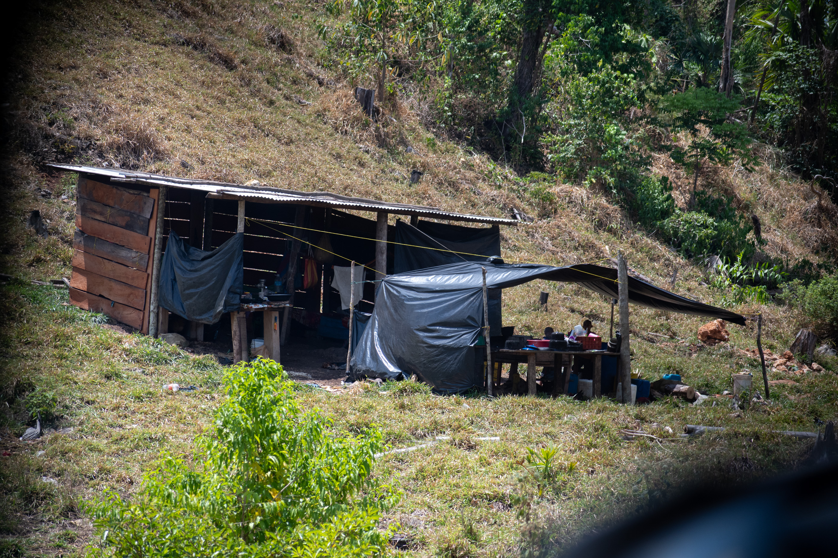 En el parque nacional Sierra del Lacandón se observan casas de presuntos cuidadores de ganado.