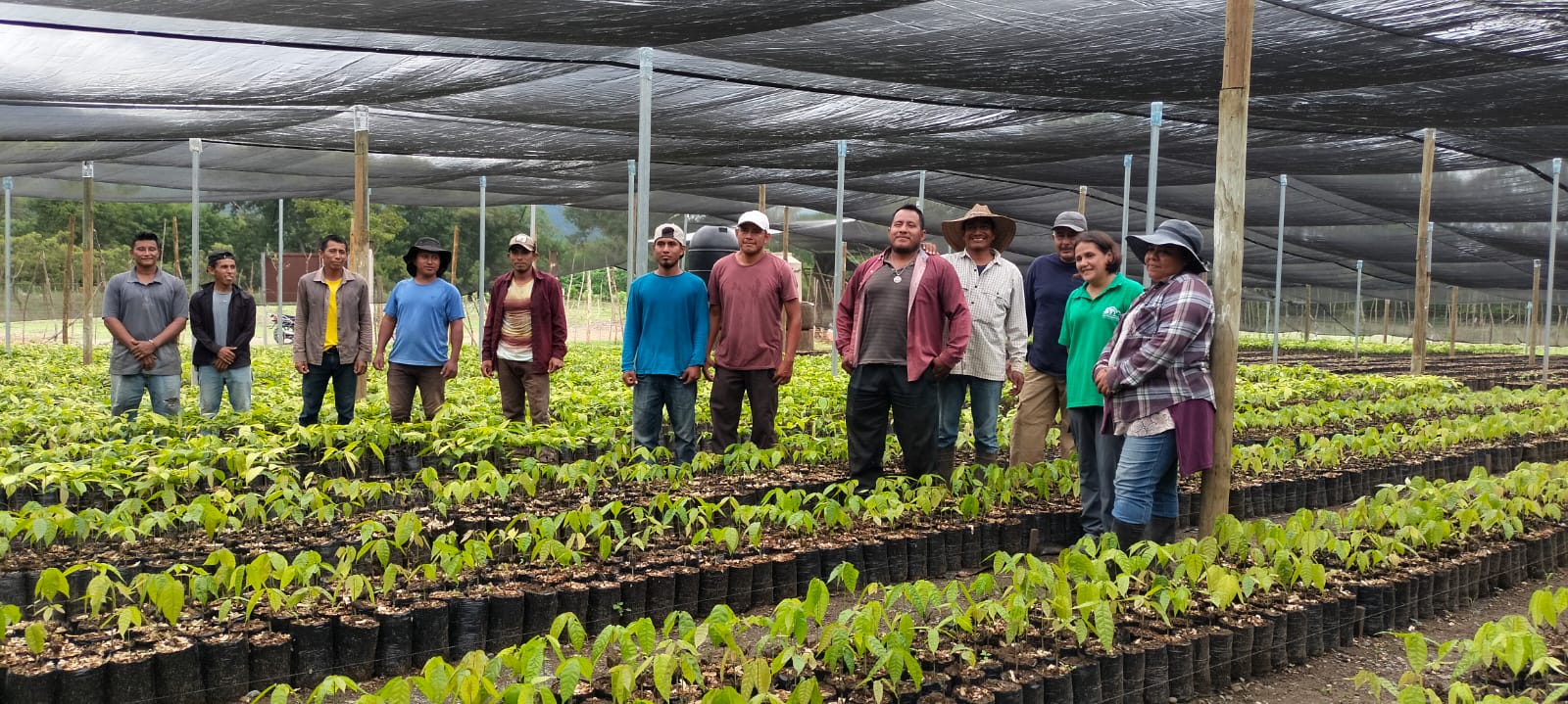 Grupo de vecinos que trabaja en la aldea Santa Rosa Balandra, de El Estor, y que trabajan en el vivero del lugar. Foto: Diana Fuentes.
