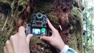 De 2015 a 2023, la Fundación Defensores de la Naturaleza identificó pumas y jaguares a más de 2 mil metros sobre el nivel del mar. En 2025, lanzaron una nueva investigación.