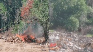 Al consultar al alcalde de Sipacate acerca de la basura en los manglares respondió, “no me compete atenderlo”, pero el Código Municipal dice lo contrario, sí es su responsabilidad. 