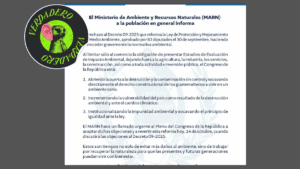 El decreto 9-2025 permitiría que ciertas entidades no presenten instrumentos de impacto ambiental, esto dificultaría su auditoría.