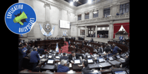 La propuesta de la diputada Lucrecia Palomo no es tan fácil de ejecutar, según el abogado Juan Pablo Gramajo.