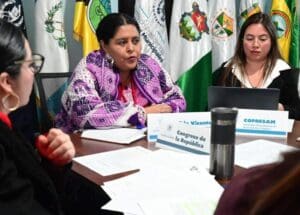 A un mes antes de que la Comisión de Asuntos Municipales que dirige termine su mandato, Álida Arana Vicente presentó su expediente para postularse al cargo de Fiscal General.