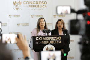 La iniciativa no establece maneras claras de fiscalizar los fondos, si en realidad lo dedicarán a temas de mujer o a actividades sociales, como hasta ahora.