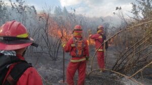 La Dirección de Administración de Vulnerabilidad y Emergencias en conjunto con el Cuerpo de Bomberos Municipales, cumplen con prevenir y contener incendios.