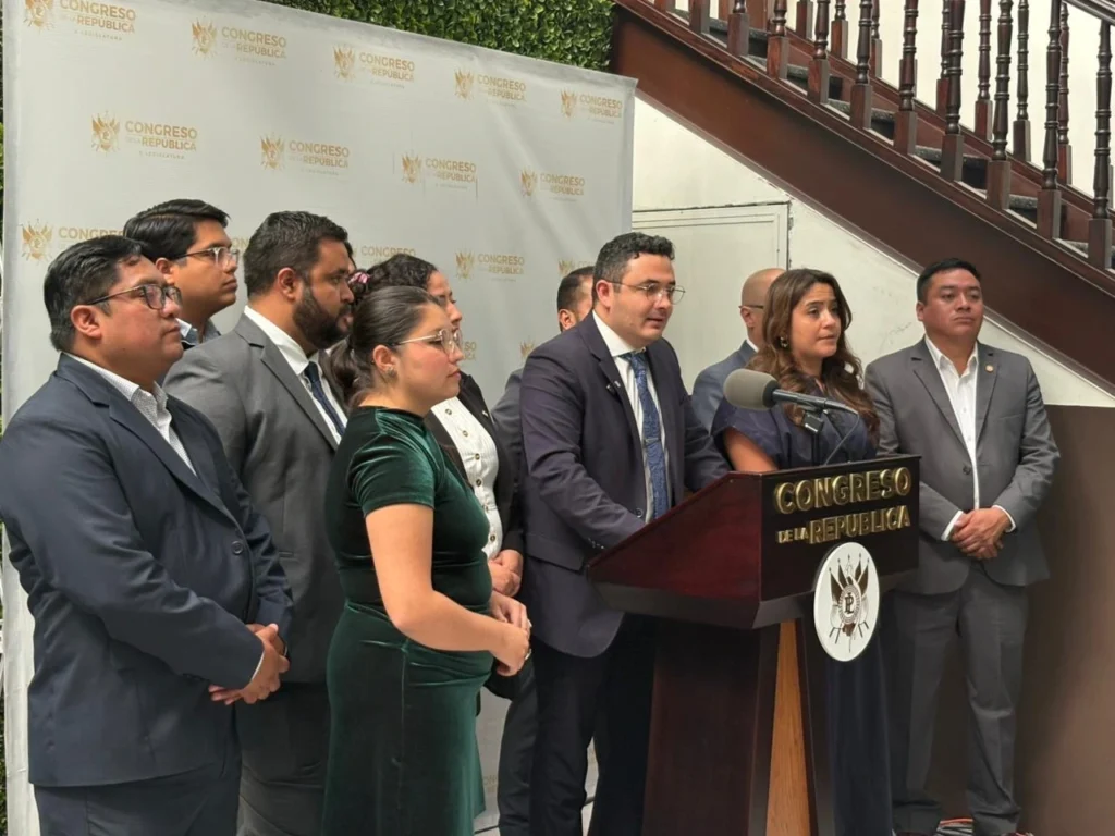 El crecimiento de proyectos inmobiliarios avanza y los bosques urbanos disminuyen. Diputados del partido en formación Raíces proponen una iniciativa para protegerlos.